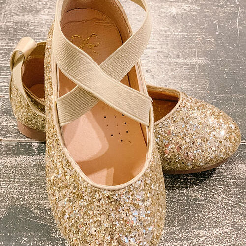 Gold Glitter Ballerina  Shoe