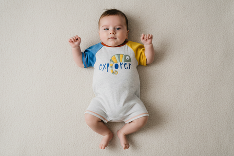 Mudpie | Iguana Explorer Shortall