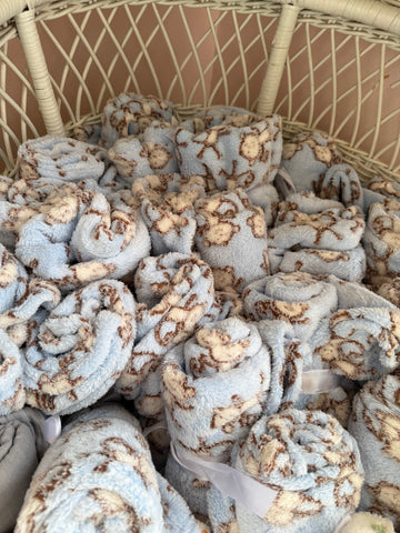 SR Cheeky Monkey Baby Blanket