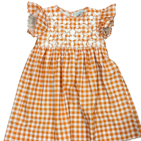 Ann Reeves | Burnt Orange Gingham Dress